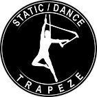 Trapeze in Wirral and Liverpool. The traditional circus apparatus. Great for any age, good base to start aerial